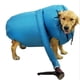thumbnail image 1 of Ladrones de pelo, bolsas de secado para mascotas, usadas con secador para perros, bolsas de secado automático, 1 of 5