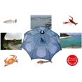 thumbnail image 2 of Fishing Net Trap Portable Folded Foldable Crab Net Cast Dip Bait Fish Shrimp Crawfish Langostino Cage Traps Mesh Automatic, 2 of 9