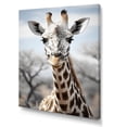 thumbnail image 2 of Designart "Africa Giraffes gracefulness II" African Canvas Art Print, 2 of 5