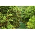 thumbnail image 2 of Paulson, Don 32x23 White Modern Wood Framed Museum Art Print Titled - USA, Oregon, Elk River, 2 of 4