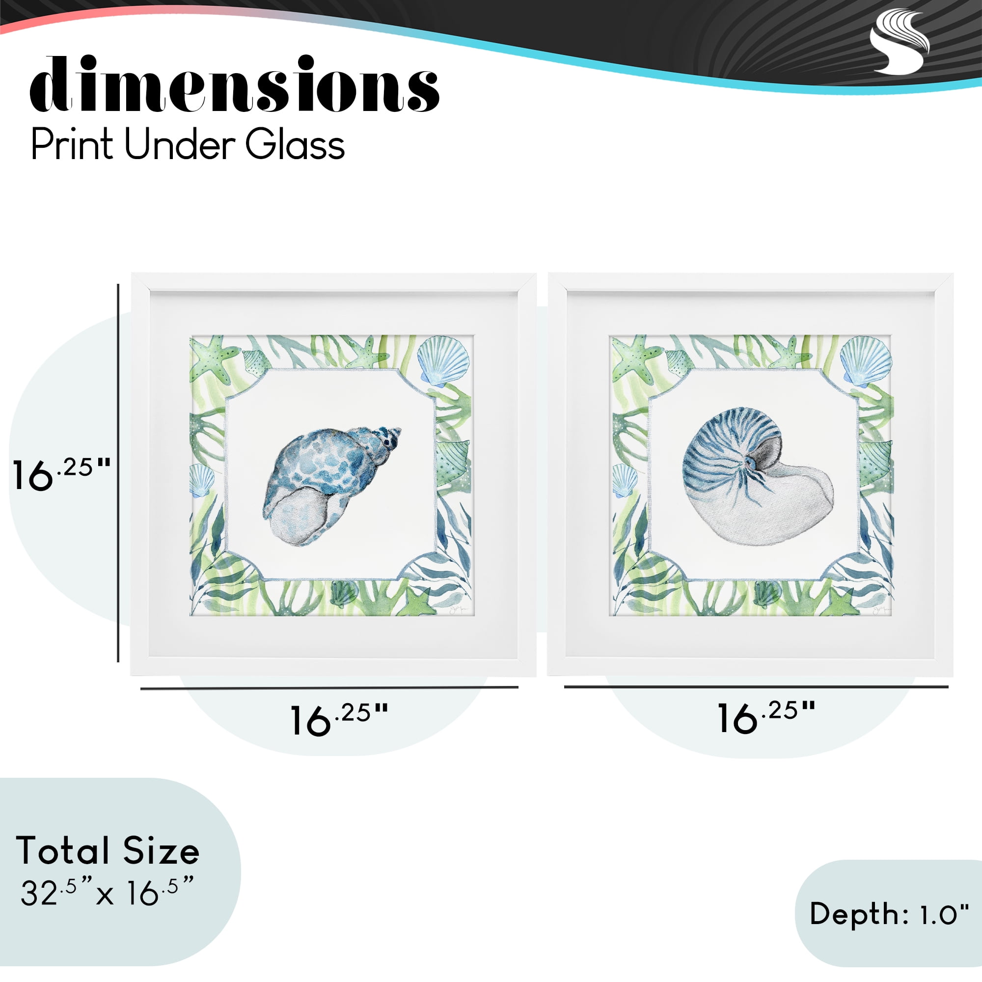 Stupell Industries Seaweed Bordered Seashells 2 Piece White Framed Print Under Glass Set, design by Janet Tava