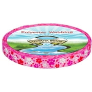 Country Brook Design - Puppy Love Polyester Webbing (3/4 Inch, 10 Yards)