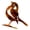 Rusty bird, variant on WINDLAND Vintage Metal Bird Statue Outdoor Garden Decoration Iron Sculpture Art Ornaments
