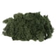 thumbnail image 4 of Musgo de reno noruego natural, eterno y preservado, flor seca para terrario, decoración de jardín de hadas Pasto verde, 4 of 7