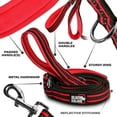 thumbnail image 2 of BLACK RHINO Striped Dog Leash Double Handle Reflective (5 Ft, Red/Bl), 2 of 3
