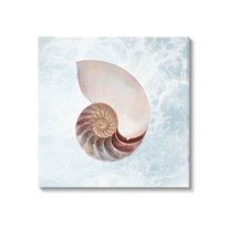 Stupell Industries Aquatic Nautilus Spiral Seashell Graphic Art Gallery Wrapped Canvas Print Wall Art, Design by Marcus Prime