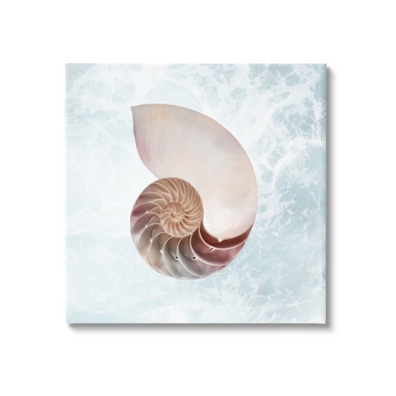 Stupell Industries Aquatic Nautilus Spiral Seashell Graphic Art Gallery Wrapped Canvas Print Wall Art, Design by Marcus Prime