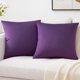 thumbnail image 1 of Cterwk - Juego de 2 fundas de almohada decorativas de terciopelo suave para sofá cama, 50,8 x 50,8 cm, 1 of 8