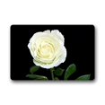 thumbnail image 1 of RYLABLUE Tapis de Sol Blanc Rosé Tapis de Sol Extérieur/intérieur Taille 30x18 Pouces, 1 of 1