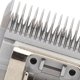thumbnail image 5 of Cuchilla cortapelos para perros dientes profundos precisos cuchilla cortapelos para perros acero carbonizado desmontable tamaño profesional 7F larga duración 32 mm para ANGGREK Otros, 5 of 7