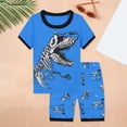 thumbnail image 2 of TOWED22 Newborn Baby Boy Outfits 2 Pieces Short Sleeve Top Tee Frog Print Casual Cargo Shorts Clothes(Sky Blue,110), 2 of 9