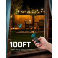 thumbnail image 2 of Atenuador exterior DEWENWILS para guirnaldas de luces LED de 150 W y 300 W de tungsteno, 2 of 7
