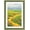 Green With Gold Trim, variant on , 11x14 Photo Frame With Mat for Pictures 8x10 and Real Glass (Green With Gold Trim - White Color Mat, 1.25 Inch Frame Border)
