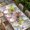 MediumPurple White LightPink, variant on Blue Purple Gnomes Table Cloths for 3 Foot Rectangle Tables, Spring Country Hydrangea Flower Leaf Patio Waterproof Elastic Fitted Tablecloths, Washable Rectangular Table Cover for Camping