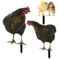 thumbnail image 1 of BESTYASH 1Jgo De Jardín Con Estaca De Gallina Acrílica Colorida Y Compacta, 1 of 7