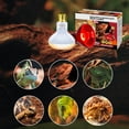 thumbnail image 5 of ECOSUB 100W Reptile Heat Lamp Bulbs Combo, Day & Night Basking Spot Light, UVA Heating Lamp 2 Pack, 5 of 8