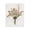 Shabby Chic Bouquet_v4, variant on Stupell Industries Shabby Chic Mixed Wild Flowers Black Floating Frame Canvas Art, 17 x 21, by Ryley Gray