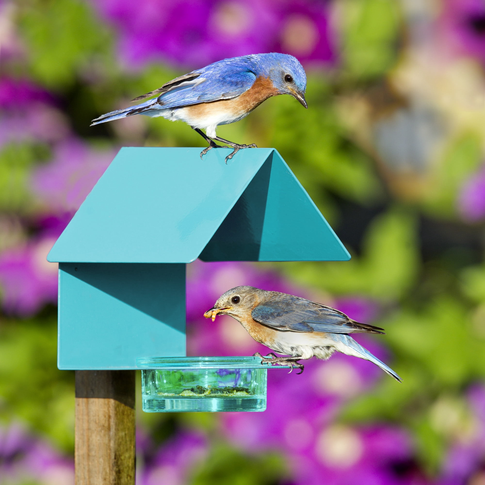 Mosaic Birds Recycled Glass & Metal Bird Feeder Outdoor - Hanging Bird House Feeder for Oriole, Finch - Aqua Blue