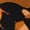 2 Black-1, variant on Honeii Cute Squirrel Print Adult Socks,Crew Socks,Casual Calf Socks,Daily Wear Socks for Men & Women, Perfect for Sports, Casual and Everyday Use