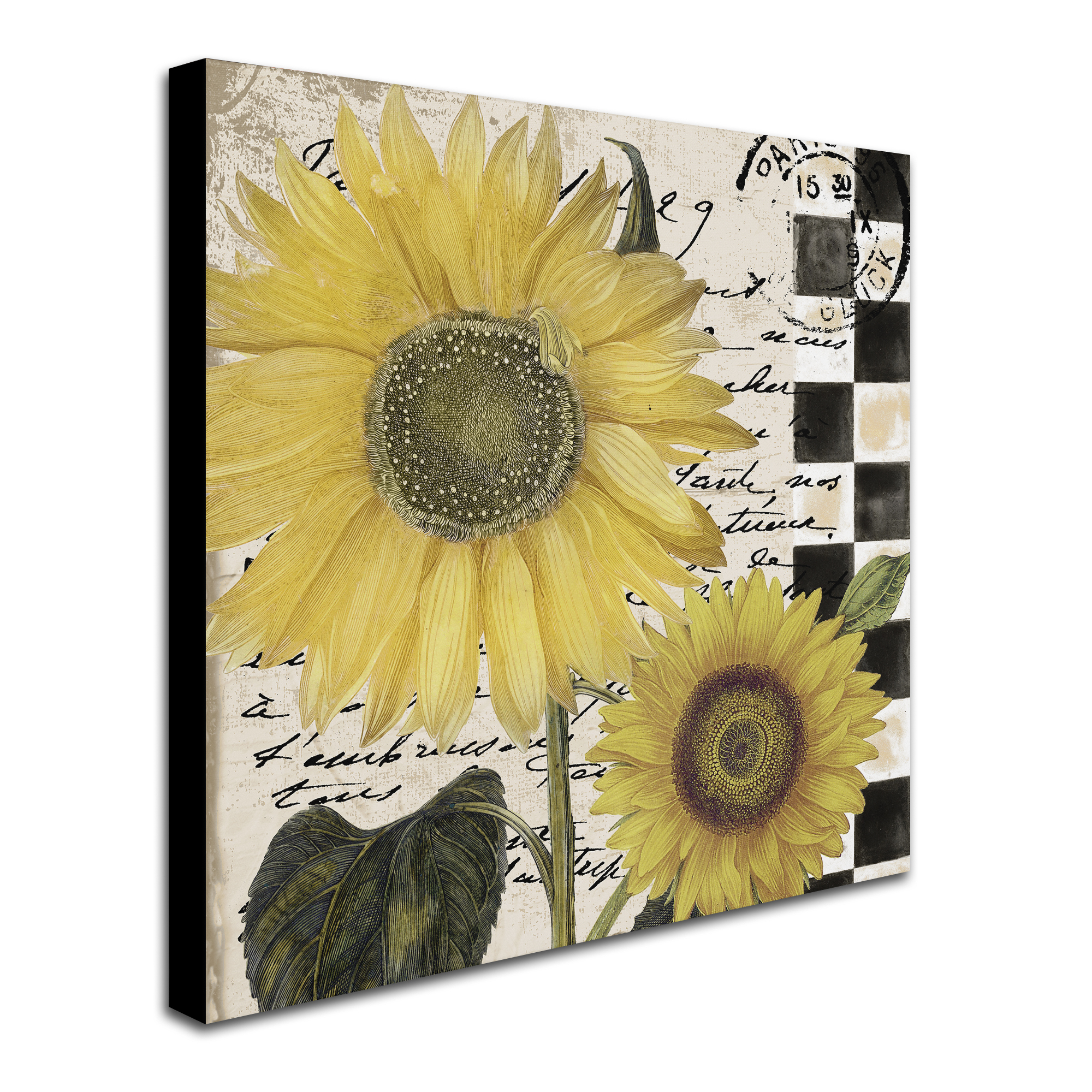 "Late Summer I" Canvas Art by Color Bakery