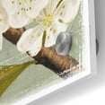 thumbnail image 2 of Epic Art 'Bluebird Branch II' by Victoria Borges, Acrylic Glass Wall Art, 36"x36", 2 of 7