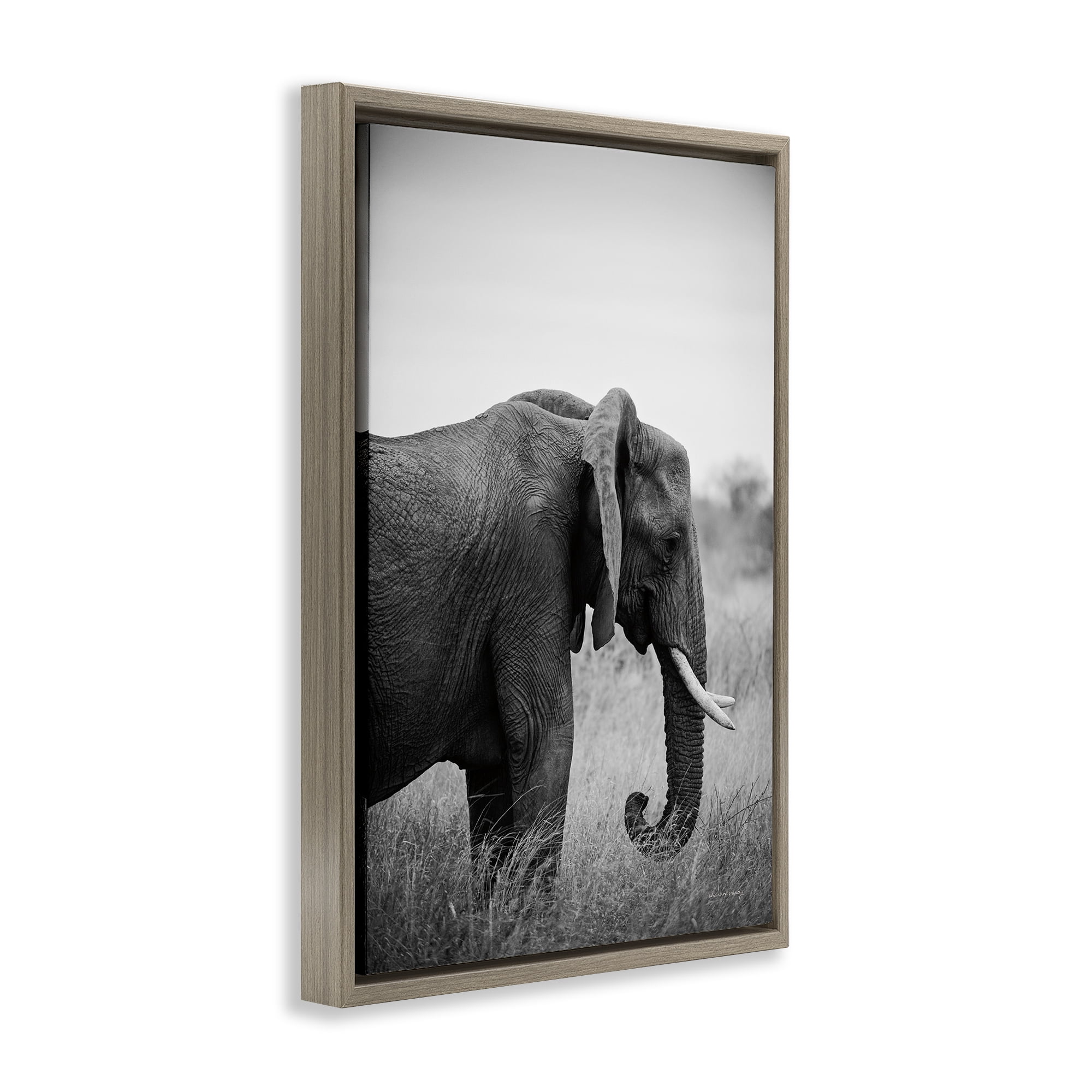 Stupell Industries Side Profile Elephant Animals Photography Brown Floater Framed Canvas Art Print Wall Art, 17 x 25