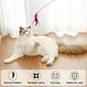 thumbnail image 3 of Reemplazo de ángulo de gato de juguete de repuesto de Teaser de gusano de gato, 3 of 5