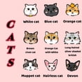 thumbnail image 4 of Placa De Identificación Acrílica Personalizada 2.5cm Y 3cm Etiqueta Para Perros Nombre Gato Antipérdida Collar Colgante Lindo Llavero Grabado Gratis, 4 of 4