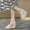Gold, variant on Womens White Sandals Women's Wedge Sandals Fashion Open Toe Platform Sandals Womens Sandals Heels on Clearance