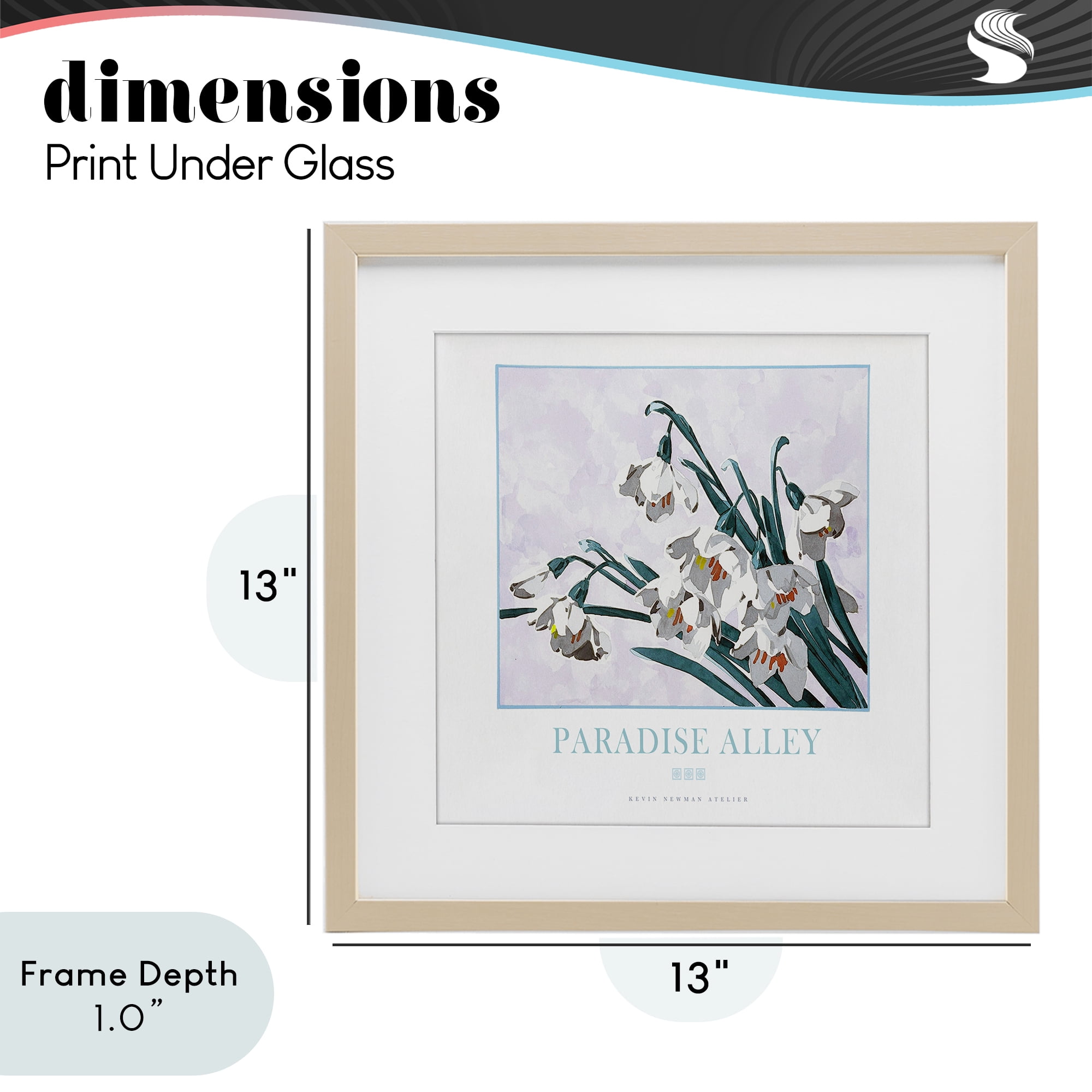 Stupell Industries Paradise Alley White Spring Blooms Birch Framed Print Under Glass, design by Jadei Graphics
