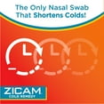 Zicam Cold Remedy Cold Shortening Medicated Nasal Swabs ZincFree, 20