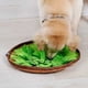 thumbnail image 3 of Alfombrilla ajustable para perros, juguetes de rompecabezas para perros, alfombrilla de forrajeo para mascotas de enriquecimiento para entrenamiento de olores y alimentación lenta Namotu HMYH359, 3 of 7
