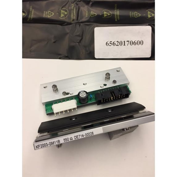 Daikon Electronics Print Head for Model Bizbera GLMI, GLP80 250 mm SEC DPI203