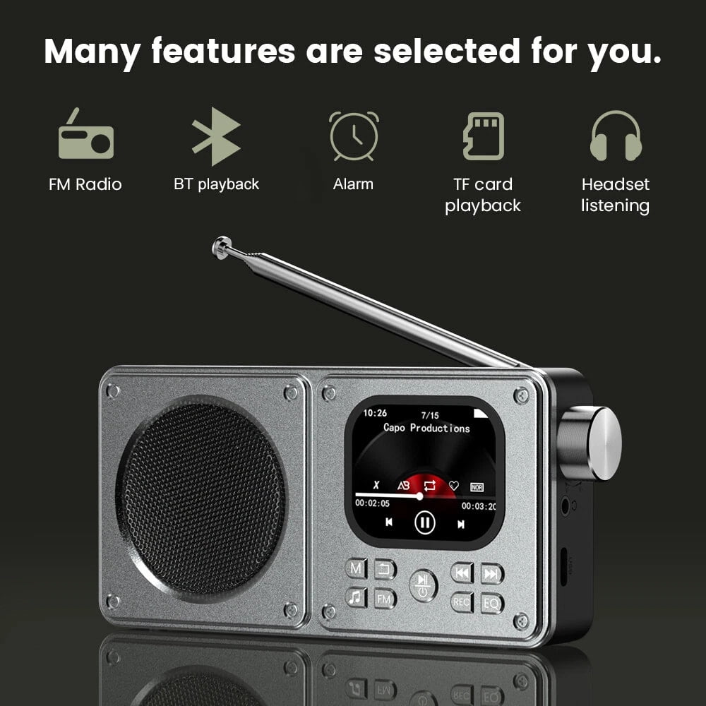 Wiher Portable FM Radio with Bluetooth Speaker, 2.0” Color HD Display, Loud Speakers, Headphone Jack, Support Alarm TF Card MP3/MP4 Player for Home Outdoor Gray