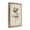 thumbnail image 3 of Stupell Industries Shabby Chic Vintage Warbler Page Brown Floating Frame Canvas Art, 21 x 31, by Wild Apple Portfolio, 3 of 8
