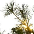 thumbnail image 3 of National Tree Company 3 ft. Potted Meadow Basin Tree with LED Lights, 3 of 4