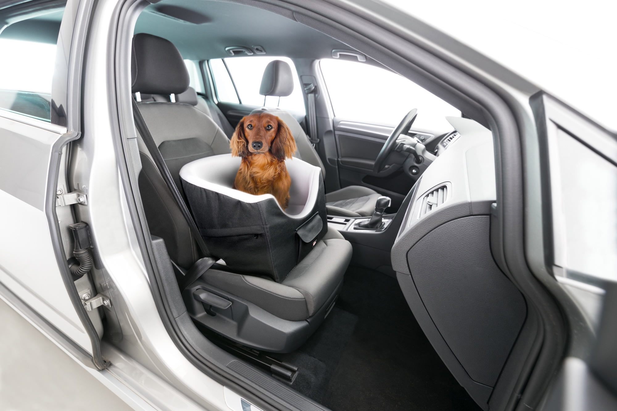 TRIXIE Pet Booster Seat, Travel Cat Bed, Dog Car Seat Ideal for Small Dogs and Cats, Black