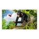 thumbnail image 3 of Zoo Tycoon - Xbox 360 - English, 3 of 13