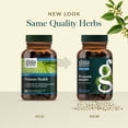thumbnail image 6 of Gaia Herbs Prostate Health - Supports Prostate Health and Function for Men - With Saw Palmetto, Green Tea, Nettle Root, and White Sage* - 120 Vegan Liquid Phyto-Caps (60 Servings), 6 of 9