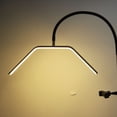 thumbnail image 4 of Ambiance Luxueuse, Lampe de Sol à Intensité Variable en Continu Lampe de Sol LED pour Extensions de Cils Art des Ongles Modes de Couleur Réglables et Col de Cygne Flexible, 4 of 7
