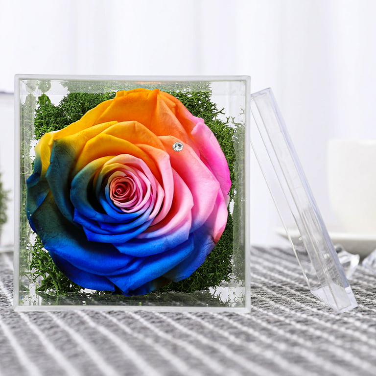 Preserved Roses in Acrylic Cubes - Verdissimo USA