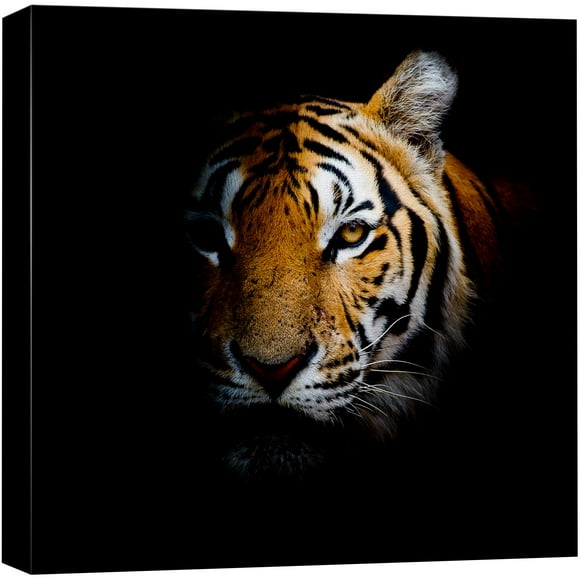 wall26 Art Mural sur Toile - Impression Giclée Décoration Maison (24 Pouces x 24 Pouces, Tiger))