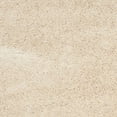 thumbnail image 3 of SAFAVIEH Charlotte Solid Plush Shag Area Rug, Ivory, 8' x 10', 3 of 6