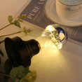 thumbnail image 4 of Edison Series DIY Light Bulb Half Silver Plated A60 Copper Wire, 4 of 5