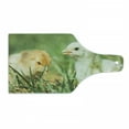 thumbnail image 1 of Chicks Cutting Board, Close up Photo of 2 Little Chicken in Grass Nature Print, Decorative Tempered Glass Cutting and Serving Board, in 3 Sizes, by Ambesonne, 1 of 2