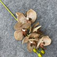 thumbnail image 1 of Real Touch Artificial Butterfly Orchids Flower Fake Flower Decor Table Ornament, 1 of 11
