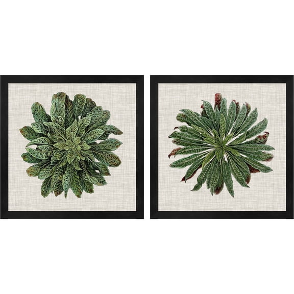 Great Art Now Spherical Leaves by Vision Studio, 2 Piece Framed Art Set Each 13"W x 13"H