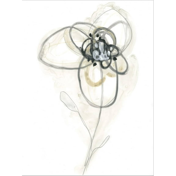 Art.com Monochrome Floral Study IV Stretched Canvas Print Wall Art by June Vess, 24" x 32"