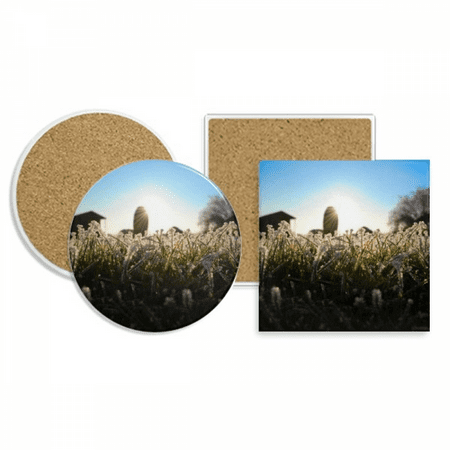 

Science Nature Scenery Sunshine Green Forestry Coaster Cup Mug Holder Absorbent Stone Cork Base Set