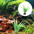 thumbnail image 1 of HEALEEP 10Ud Artificial Para Acuario En Ideal Para Decorar Ambientes Y Paisajismo, 1 of 6